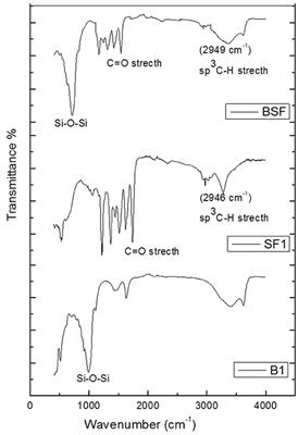 Synthesis, Characterization, and Applications of Silk/Bentonite Clay Composite for Heavy Metal Removal From Aqueous Solution